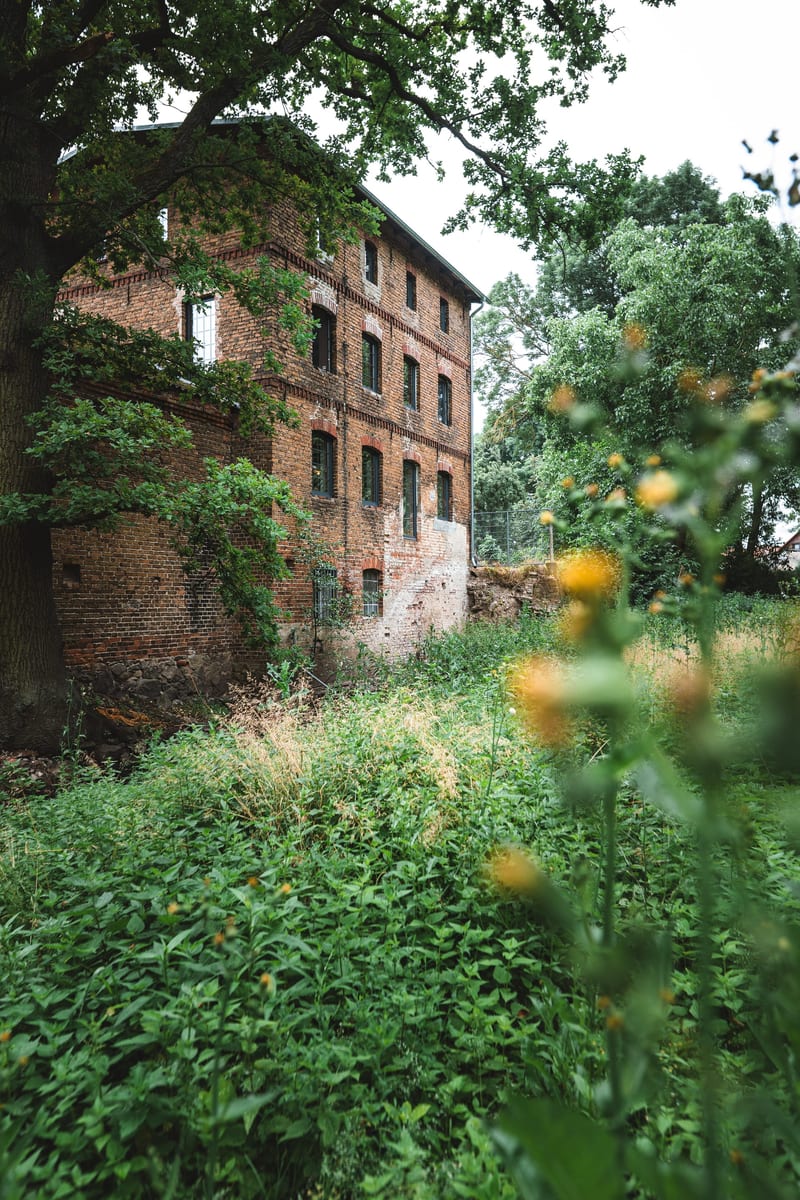 Außenansicht der historischen Wassermühle in Niemegk