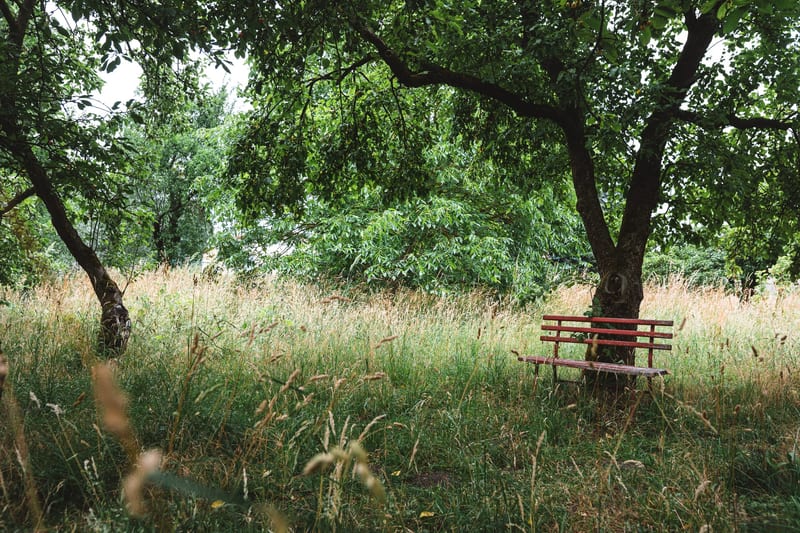 Garten der Wassermühle